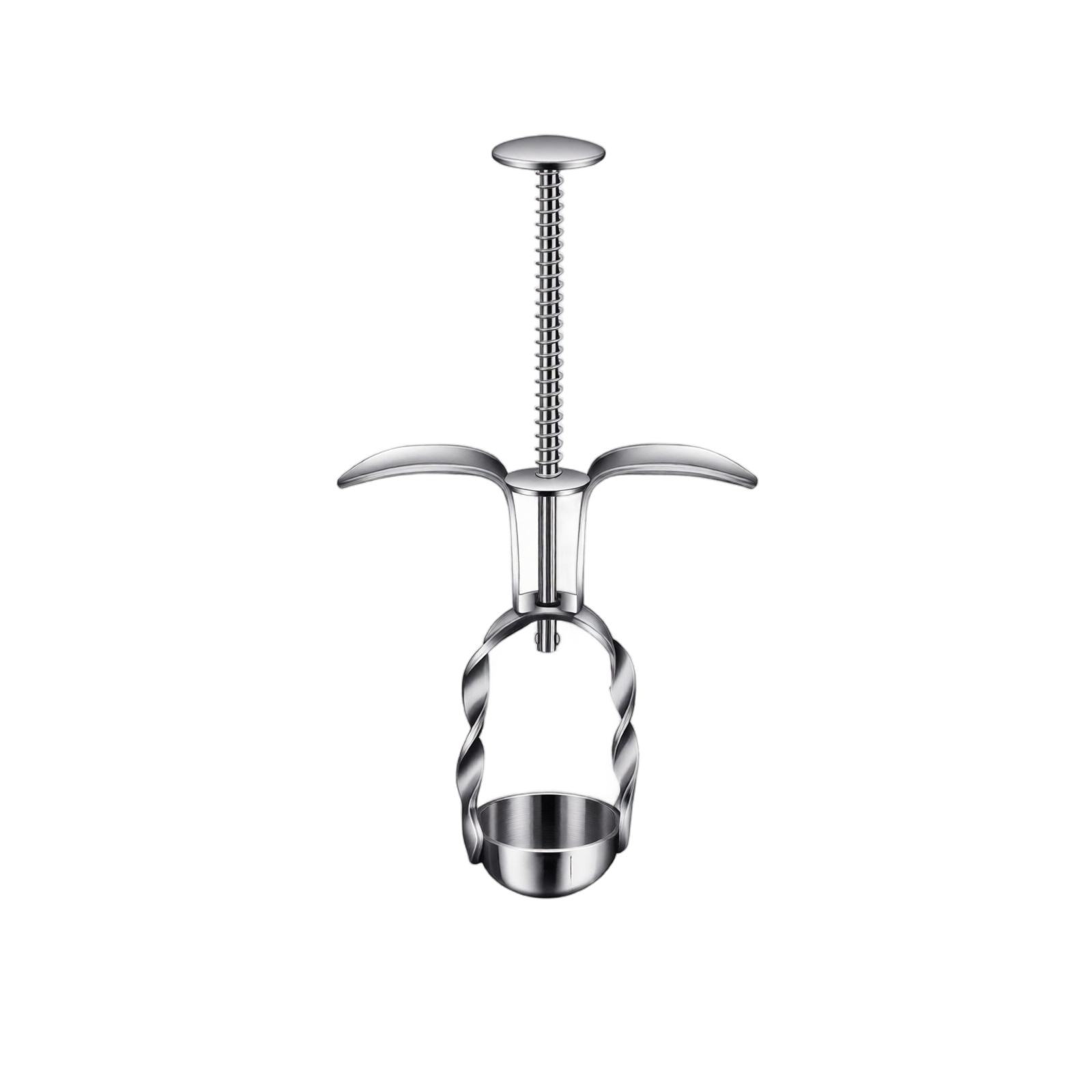 Stainless Steel Red Date Pitte - Kitchen Gadgets Usa 评论和价格